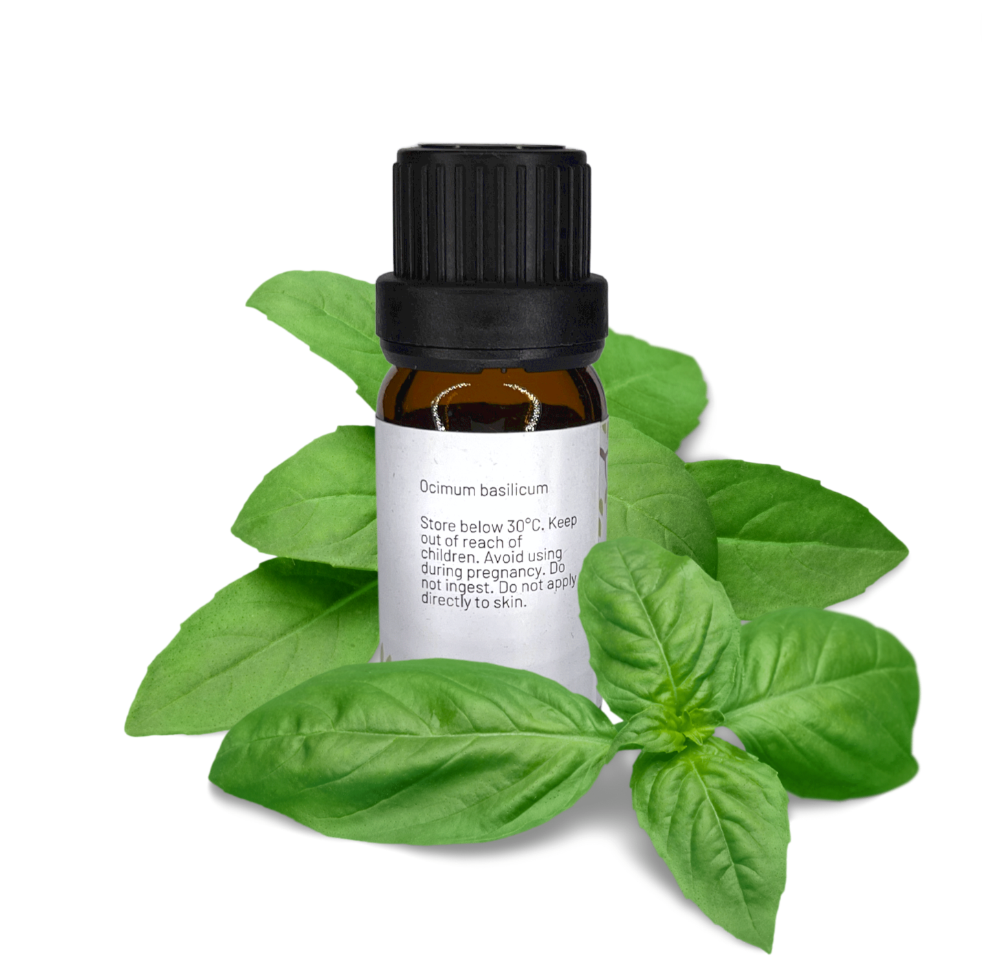 Basil Sweet Essential Oil 10ml image 1