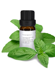Basil Sweet Essential Oil 10ml image 1